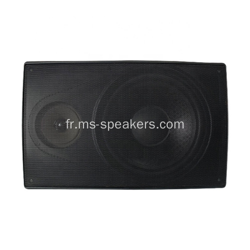 Enceinte suspendue murale de 100W